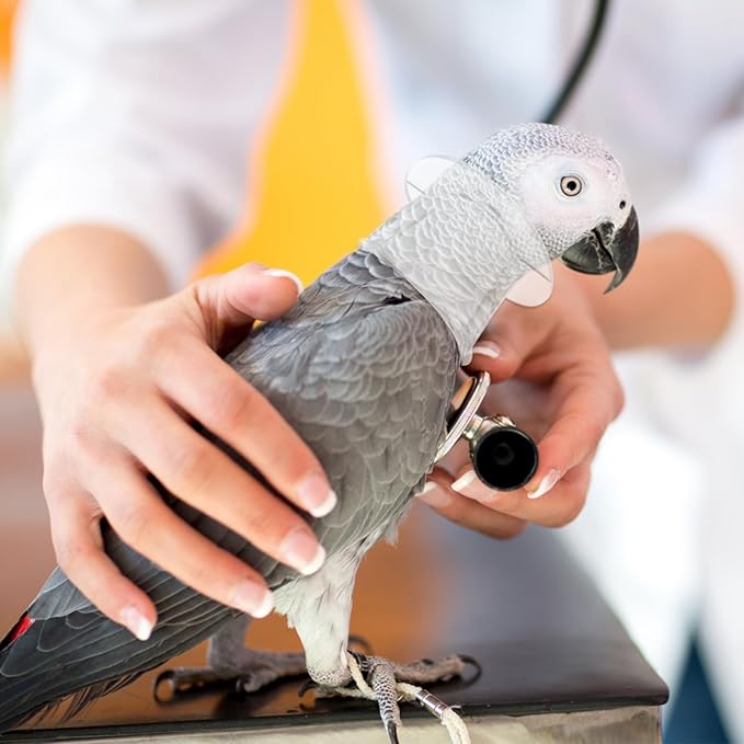 POPETPOP Bird Collar Pet Parrot -bite Collar, Grab Feather Lick Wound Healing Safety Practical Neck Cover for Macaw African Parakeet Cockatiel