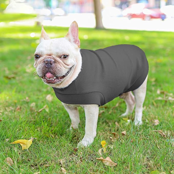 Small Dogs Fleece Dog Sweatshirt - Cold Weather Hoodies Spring Soft Vest Thickening Warm Cat Sweater Puppy Clothes Sweater Winter Sweatshirt Pet Pajamas for Small Dog Cat Puppy (Large, Dark Grey)