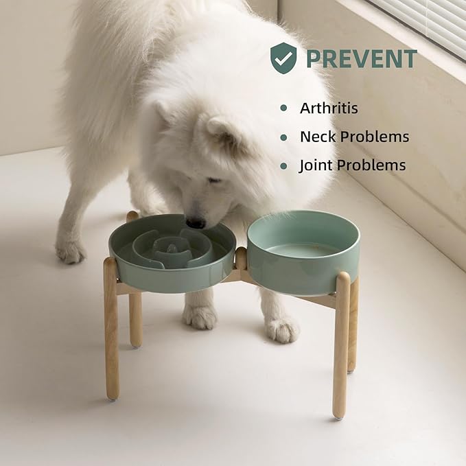 Ceramic Raised Slow Feeder Dog Bowl Set, Elevated 8.2inch Bowl and 9.5inch Puzzle Slow Food Dish with Wooden Stand for Large Dog, Anti-Gulping (2X Light Green+ Stand)