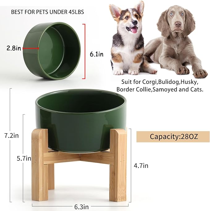 Petygooing Elevated/Raised 15°Slanted Ceramic Dog Bowl for Small and Medium Breeds, Tilted Anti Slip Pet Feeding Bowl,Food Water Dish with Stand for Cats and Dogs (28 OZ/3.6 Cups) Rust Green