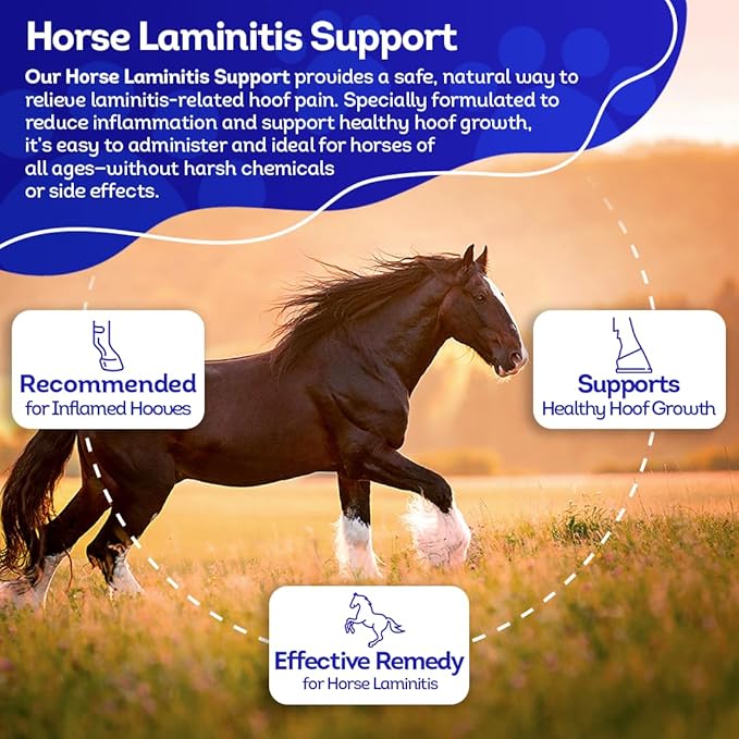 HealthyAnimals4Ever HA4E - Horse Laminitis Support - Hoof Care for Damaged & Injured Hooves - Highly Effective, Natural Homeopathic Supplement - Pellets, Barn Size