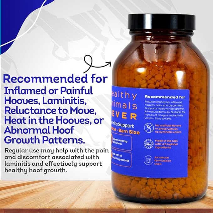 HealthyAnimals4Ever HA4E - Horse Laminitis Support - Hoof Care for Damaged & Injured Hooves - Highly Effective, Natural Homeopathic Supplement - Pellets, Barn Size