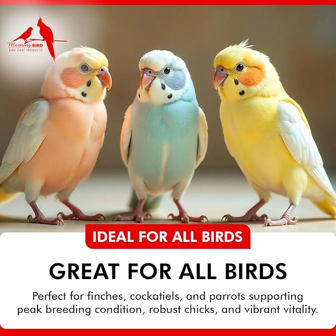 Morning Bird Breeders Blend 1.5 oz – Protein Supplement for Birds – Supports Breeding, Chick Growth, Muscle Development & Immune Support – Daily Vitamin Blend for Strong Bones & Overall Health