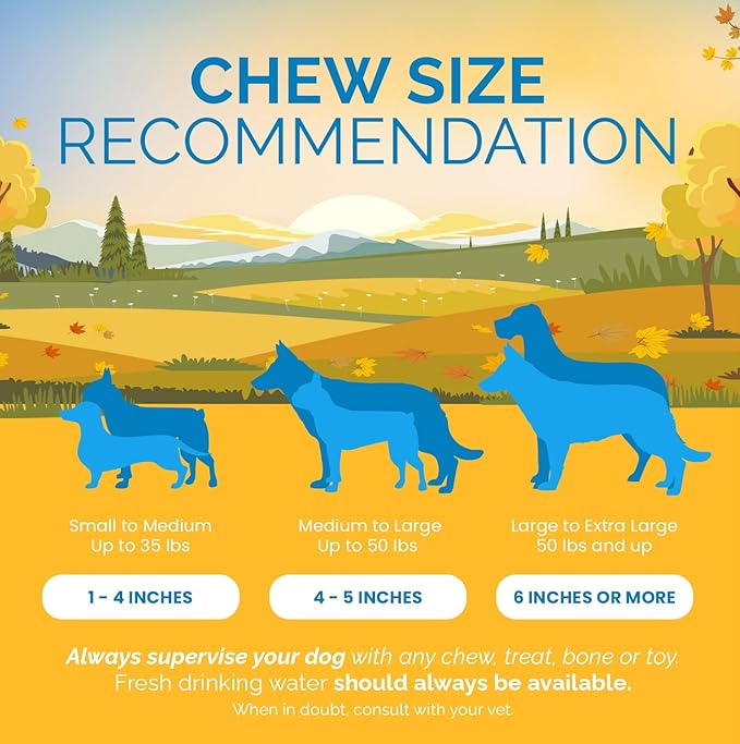 Esophagus Dog Treats - (12 Inches - 20 Count) 100% Natural, Flat Gullet Sticks for Dogs, Beef Jerky Dog Treats Strips, NO Preservatives, Hormones, or Antibiotics