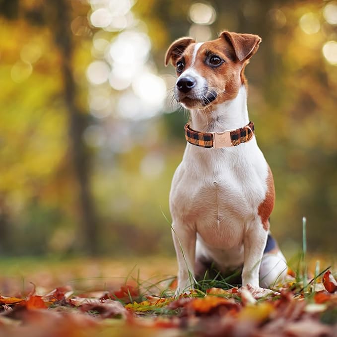 Elegant little tail Fall Dog Collar, Autumn Pet Collar Durable Yellow Plaid Dog Collars Male or Female Holiday Pet Gift Adjustable Dog Collar for X-Large Dogs