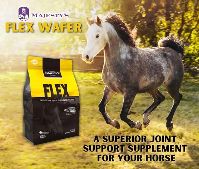 Majesty's Flex Wafers - Superior Horse/Equine Joint Support Supplement - Glucosamine, MSM, Chondroitin, Yucca, Vitamin C (Regular, 2 Pack (120 Count Total))