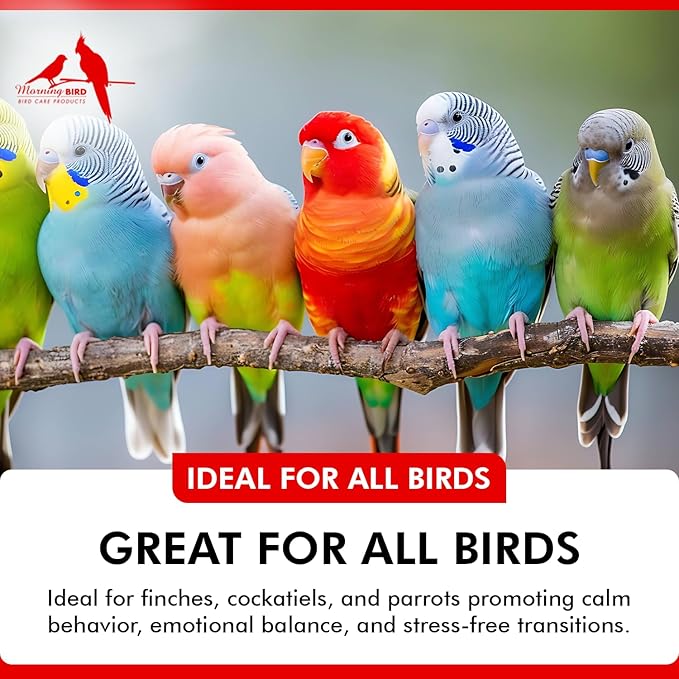 Morning Bird Mood Food (Avian Calming Formula) 6 Oz – Natural Calming Supplement for Birds – Reduces Stress, Feather Plucking & Aggression – Stress Relief Supports with B-Vitamins for Daily Calm