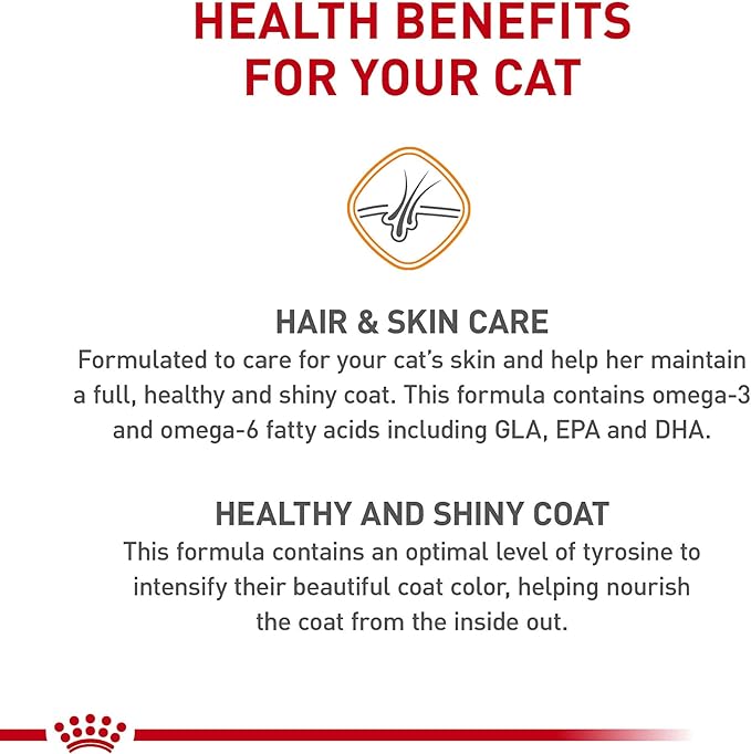 Royal Canin Hair & Skin Care Dry Cat Food, 3 lb bag