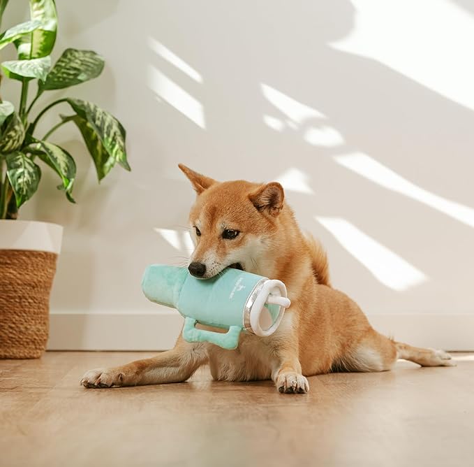Tumbler Cup Funny Dog Toy - Parody Plush Squeaky Crinkle Dog Toy (Seafoam Green)