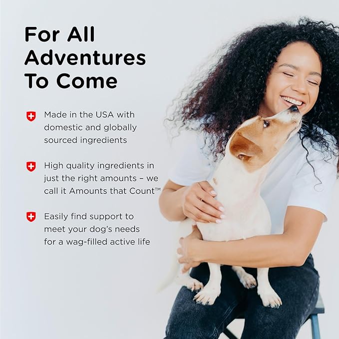 Nutri-Vet Hip & Joint Biscuits for Dogs, Dog Hip & Joint Supplement, Functional Treat, Small Sized Biscuit, 166mg Glucosamine, 16 oz Bag (Pack of 2)