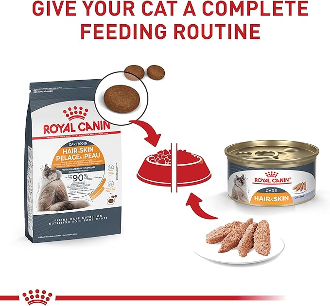 Royal Canin Feline Care Nutrition Hair & Skin Care Adult Dry Cat Food, 6 lb Bag
