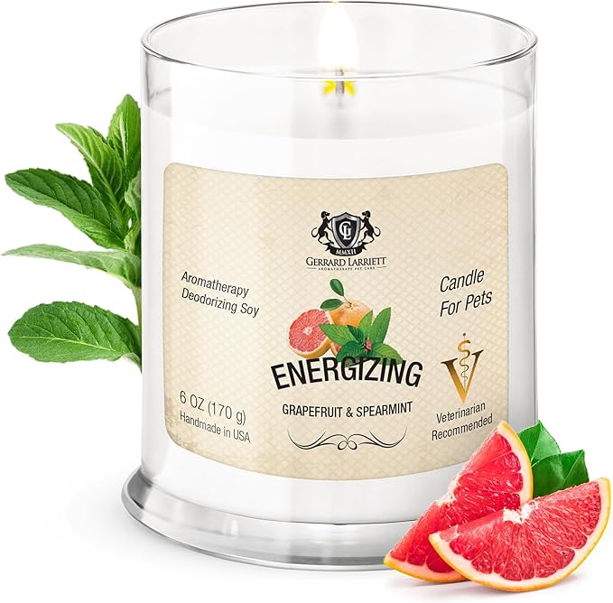 Energizing Grapefruit & Spearmint Scented Candles for Home Decor and Pet Odor - Aromatherapy Stress Relief Soy Wax Candles - Pet Odor Eliminator for Home