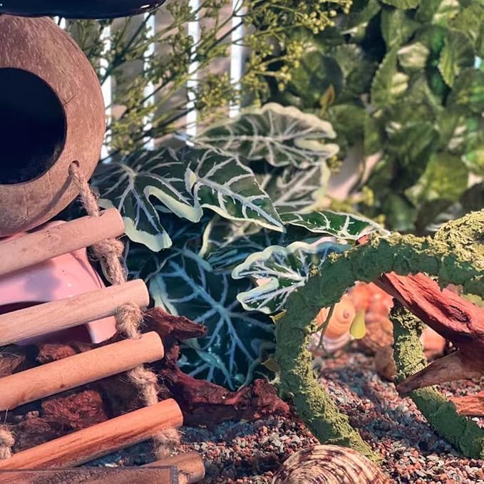 Reptile Plants,Terrarium Decor,Amphibian Habitat Decor,Artificial Plants for Gecko Chameleon Snake Tortoise Tank Accessories with Base(Alocasia)