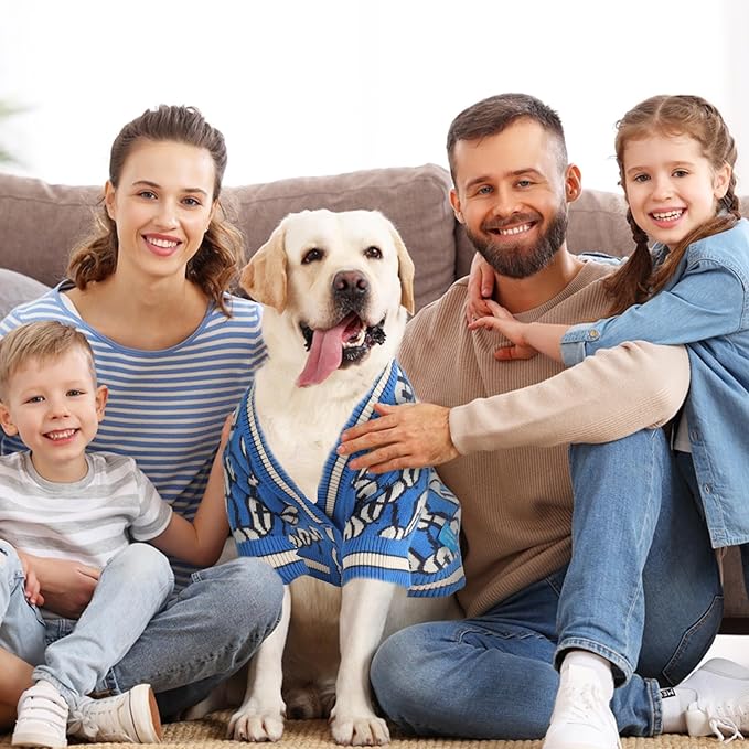 Dynamic Letter Patterned Button Cardigan Dog Sweaters,Boys' Dog Sweater,Girls' Dogs Sweaters,Knitted Pet Clothes,Pet Clothing,Fit for Kinds of Dogs and Different Seasons (Blue M)