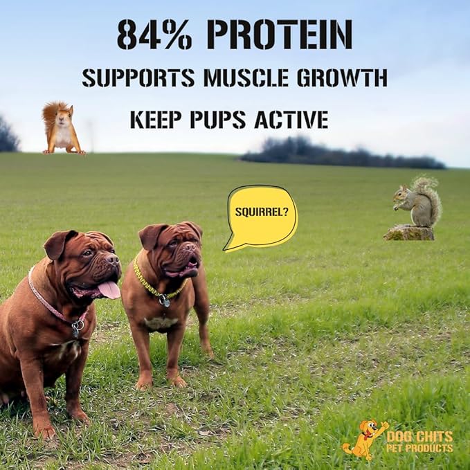 Dog Chits Curly Bully Sticks for Dogs and Puppies | 12-inch | All Natural, Treats | Long Lasting Chew | Promotes Dental Health | Keeps Pups Busy | Grass Fed Beef | 3 Pack
