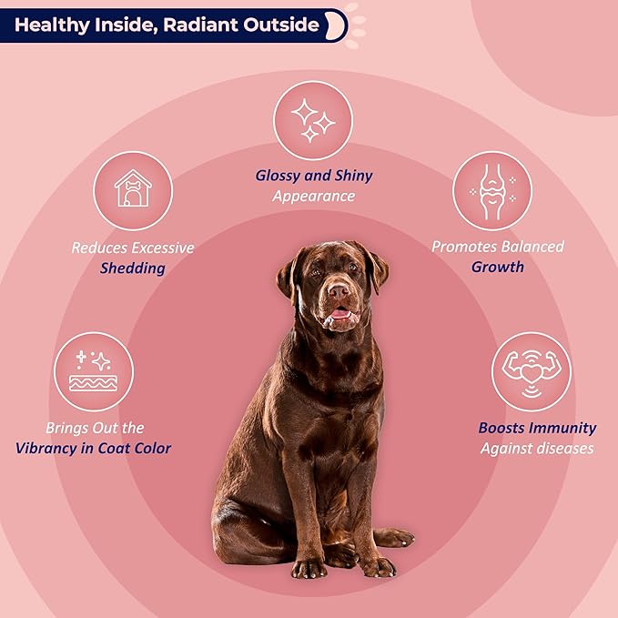 Life Line Wild Alaskan Salmon Oil for Dogs & Cats | Omega-3 DHA & EPA Supplement for Skin, Coat, Brain, and Heart Support – 16.5 Oz
