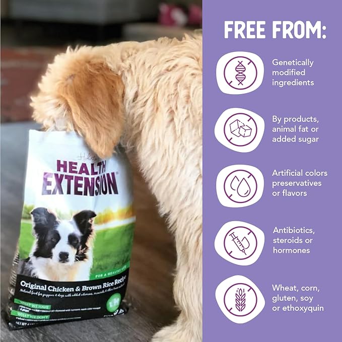 Health Extension Original Chicken & Brown Rice Dry Dog Food (15 lb / 6.8 kg) - Protein-Packed Formula with Probiotics, Omega 3 for Holistic Health in Dogs of All Life Stages