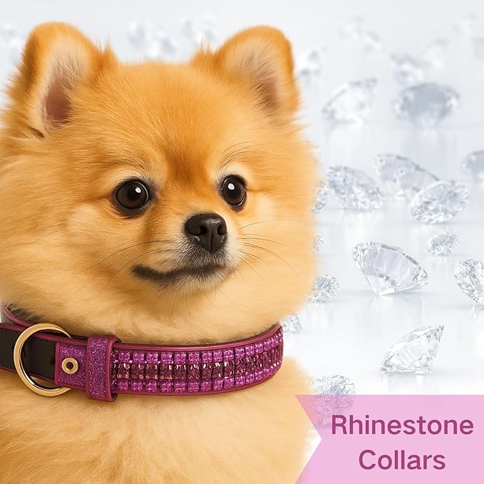 PEARLY JUN Rhinestone Dog Collars for Small Dogs Cat, XXS Fuchshia Bling Diamond Cat Collar Cute Luxury Crystal Pet Puppy