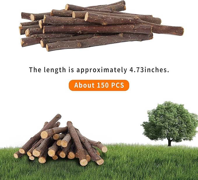 600g Apple Sticks Molar Wood Treats, Rabbit Toys Chinchilla Guinea Pig Bunny Toys Wood Chews Sticks for Teeth Rabbit Food Guinea Pig Hamster Gerbil Chews Small Animals Snacks(150 Pcs)