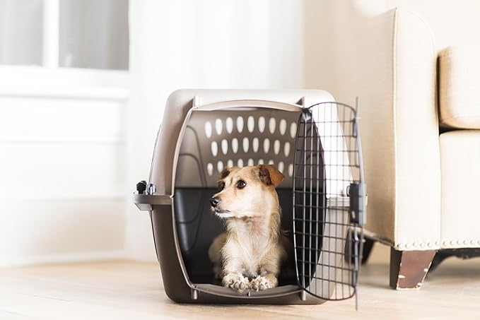 Petmate Dog Crates for Small Dogs & Cat Carriers, Two-Door Plastic Pet Kennel, Top & Front Loading, Made in USA, 24" For Pets Up To 15 lb, Pearl Tan