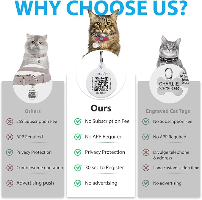 Cat Collar Breakaway with QR Code Name Tag, Glitter Kitten Collars with Bell, Cat Tags Personalized, Ultra-Durable, Comfortable, Quick Release, Fits Most Girl Boy Cats and Puppies (8"-13.5")