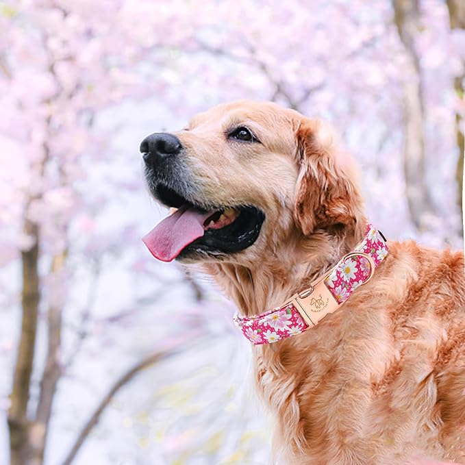 Elegant little tail Dog Collar, Pink Floral Pattern Pet Collar Durable Cute Dog Collars Summer Female Pet Gift Adjustable Dog Collar for Small Dogs