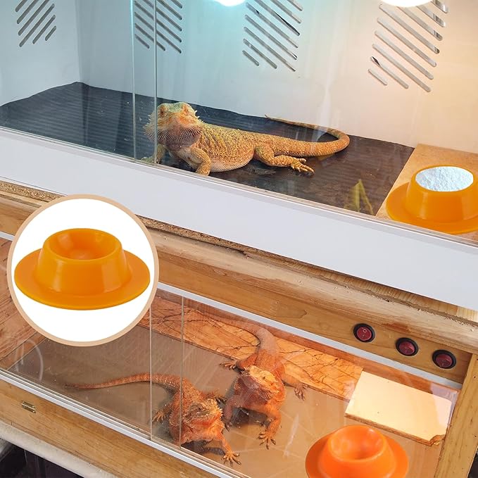 2 Pack Leopard Gecko Food Dish Gecko Calcium Dish Reptile Water Food Bowl Calcium Bowl for Bearded Dragon Lizard Turtle Gecko Jumping Spider