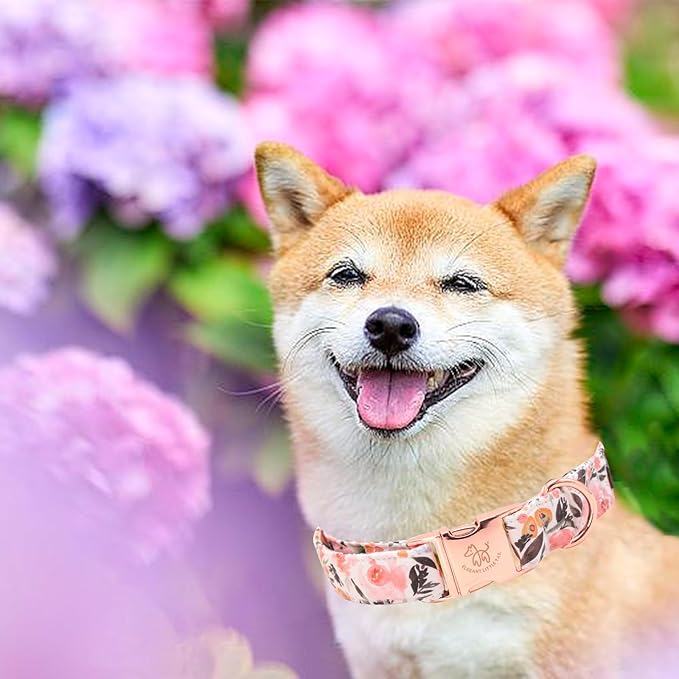 Elegant little tail Dog Collar, Pink Floral Pattern Pet Collar Summer Durable Cute Dog Collars Male or Female Pet Gift Adjustable Dog Collar for X-Small Dogs