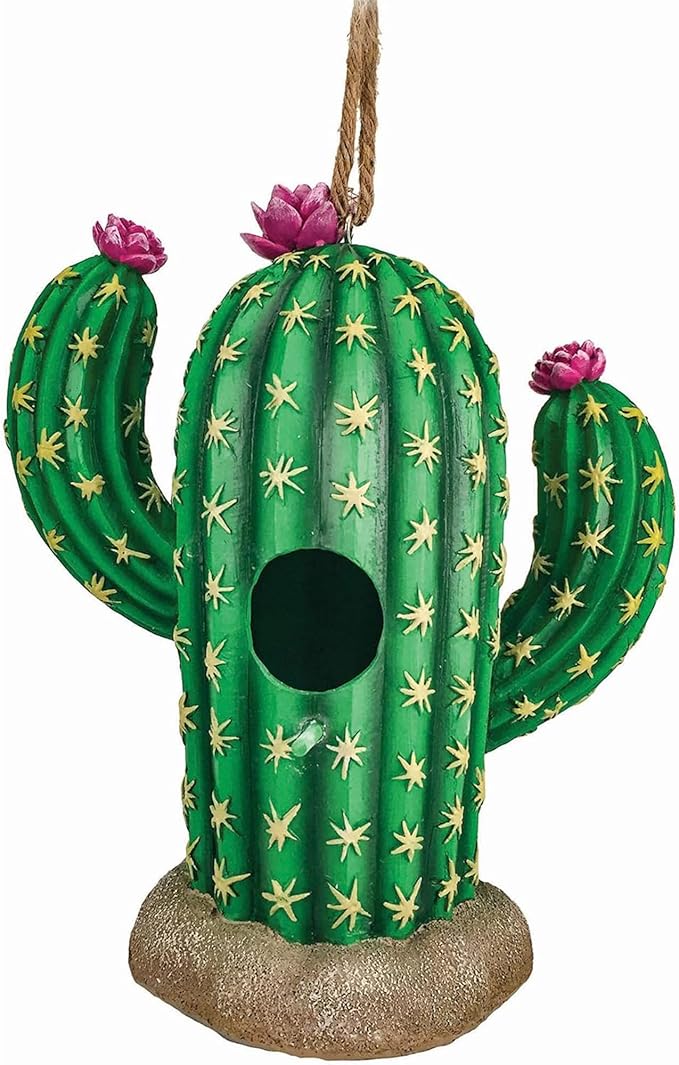 Spoontiques - Birdhouse - Garden Décor - Decorative Bird House for Yard and Garden Decoration - Hanging Novelty for Outdoor Patio - Cactus Birdhouse, Green