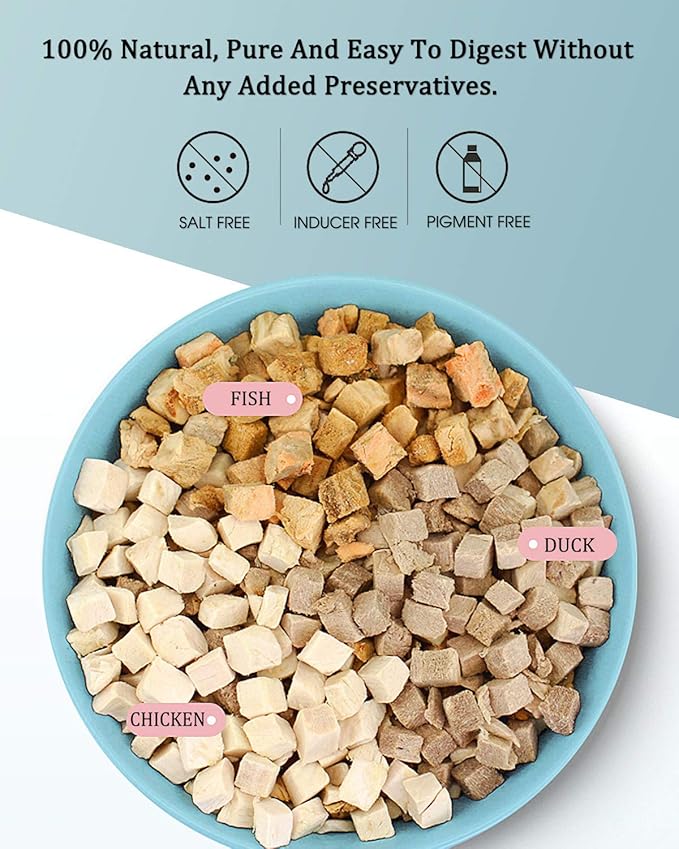 3 in 1 Meat Turtle Food - Chicken & Duck & Fish Meat Natural Freeze Dried Human-Grade Turtle Treats