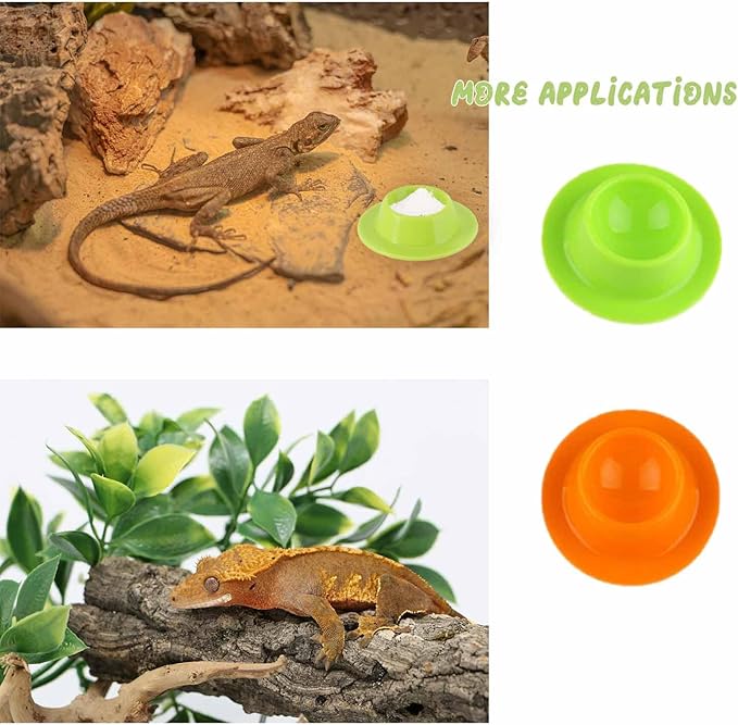 2 Pack Gecko Calcium Dish - Food and Water Bowl for Leopard Geckos, Small Reptiles