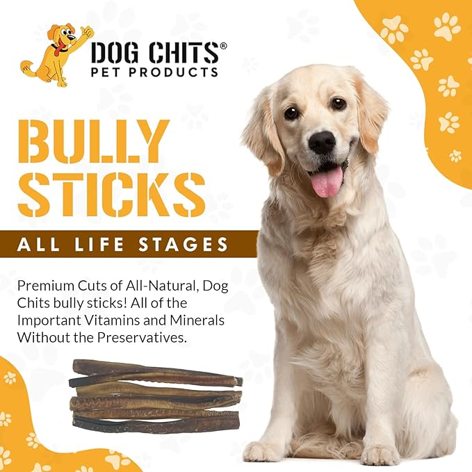 Dog Chits Bully Sticks for Dogs and Puppies | 12-inch, 6 Pack | Natural Healthy Long Lasting Chew for Large and Small Dogs Protein Treats | Odor Free
