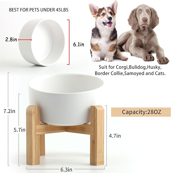 Petygooing White Elevated/Raised 15°Slanted Ceramic Dog Bowl for Small and Medium Breeds, Tilted Anti Slip Pet Feeding Bowl,Food Water Dish with Stand for Cats and Dogs (28 OZ/3.6 Cups)