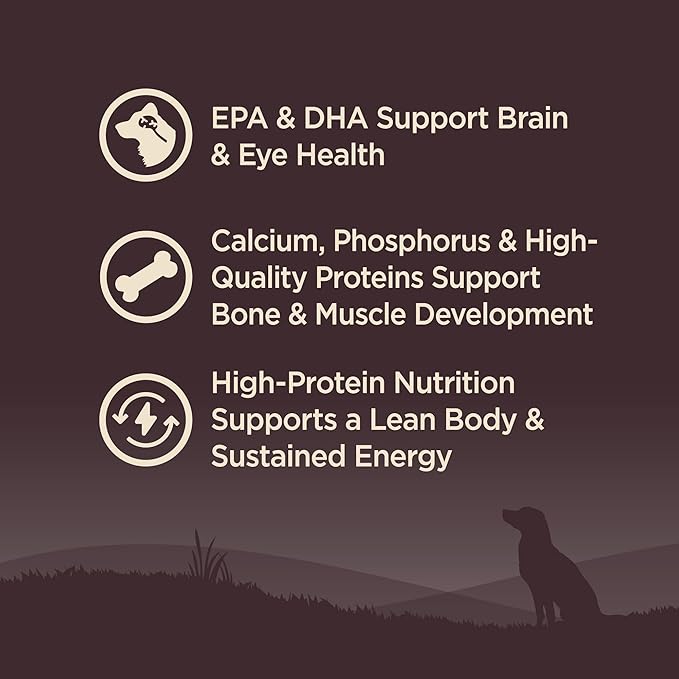 Wellness CORE Grain-Free High-Protein Small Breed Dry Dog Food, Natural Ingredients, Made in USA with Real Meat (Puppy, Turkey, 4-Pound Bag)