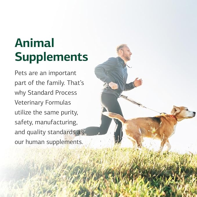 Standard Process Canine Enteric Support - Digestive System Support for Dogs - Nutritional Dog Supplement for Gut Health - Canine Supplement Formula to Aid Healthy Digestion - 110 g