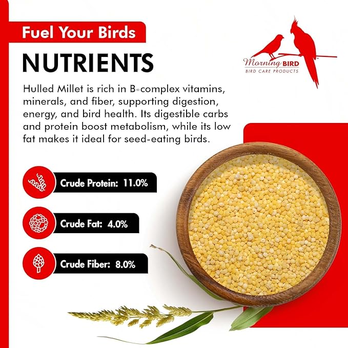 Morning Bird Hulled Millet – Nutritious Seed, Easily Digestible with High Fiber, Rich in Vitamins and Supplements for Birds, Ideal Bird Feed for All Bird Types, 18 lbs (2-Pack, 9 lbs Each)