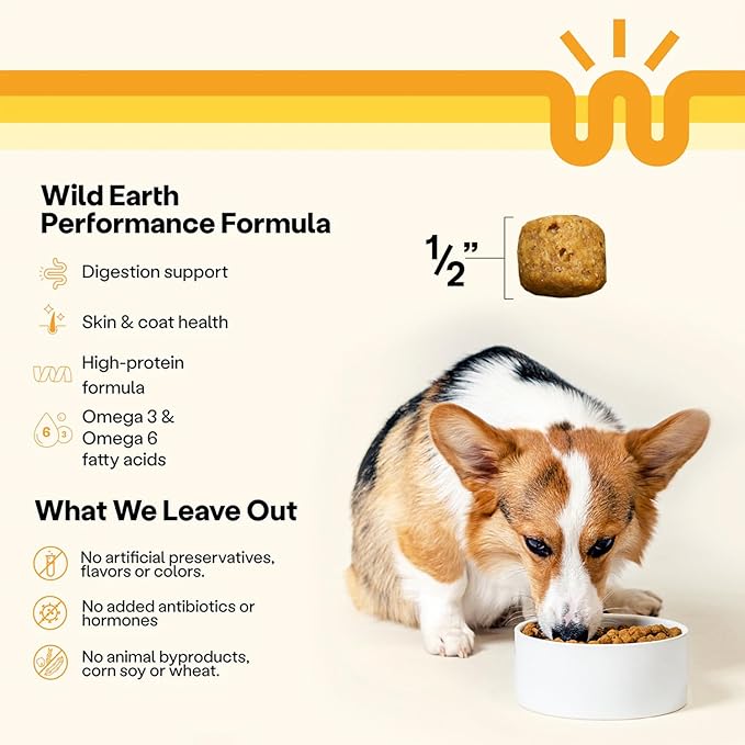 Wild Earth Vegan Dry Dog Food | Plant-Based Maintenance Formula | Vegetarian, Allergy Relief, Veterinarian-Developed for Complete Nutrition | Golden Rotisserie Flavor, 28 Pound Bag