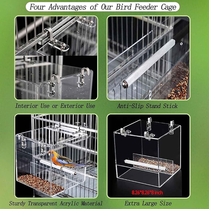 Automatic Acrylic Bird Feeder for Cage, No Mess - Small Bird Parrots, Canary, Parakeet, Budgerigar, Crested Myna, Cockatiel (XL)