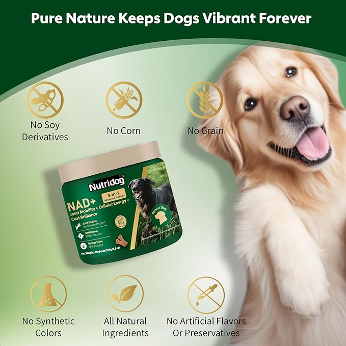 NAD Supplement for Senior Dogs - 3-in-1 Joint Supplement for Dogs, Skin & Coat Care Chews with Glucosamine, NMN, Omega-3 - Bacon Flavor, 90 Count for Arthritis & Allergy Relief (90Ct, Bacon)