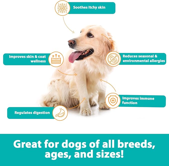 RestoraPet Allergy, Itch & Immune Soft Chews - Natural Supplement for Dogs - Support Immunity, Soothe Skin Irritation, Improve Coat Quality β with Lactoferrin, Colostrum & Omega 3-60 Bacon Chewables