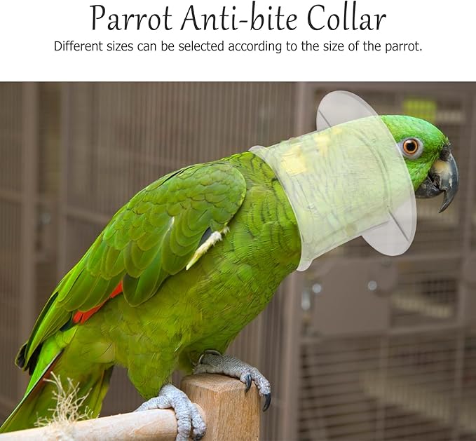 POPETPOP Bird Collar Pet Parrot -bite Collar, Grab Feather Lick Wound Healing Safety Practical Neck Cover for Macaw African Parakeet Cockatiel