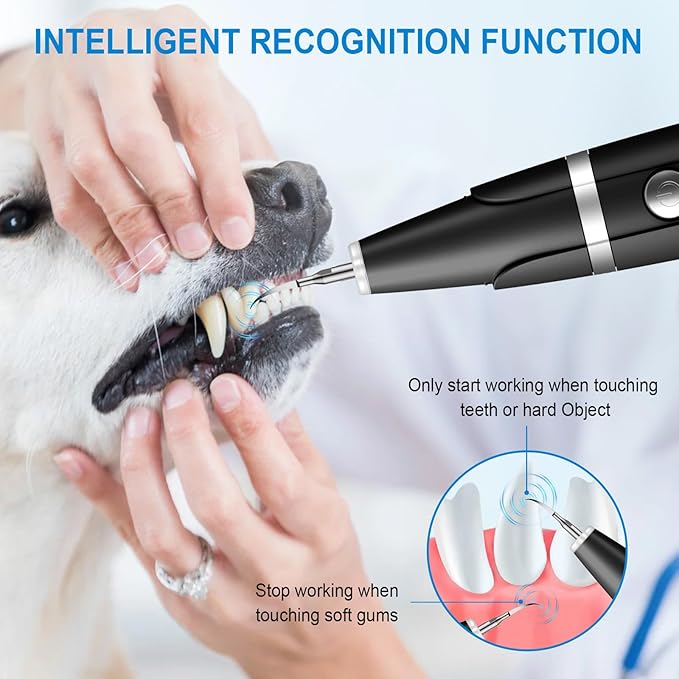 Plaque and Tartar Remover, Dog Ultrasonic Teeth Cleaner Toothbrush for Tartar and Stains with LED Light, 5 Modes Low Noise Sonic Tooth Cleaning Kit Tool for Dogs (Black)