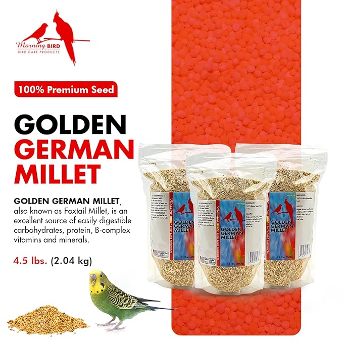 Morning Bird Golden German Millet – Bird Seed & Parakeet Food with Protein & Vitamin B – Easy-to-Digest Millet Seed, Natural Food & Daily Nutrition for All Type of Bird 4.5 lbs (3-Pack, 1.5 lbs Each)