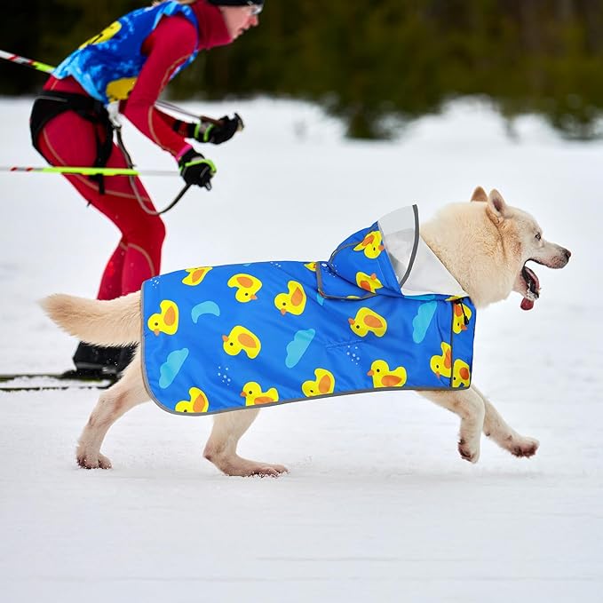 Dog Raincoat for Small Dogs, Adjustable Dog Rain Coat with Clear Hooded, Adjustable Rain Coat with Reflective Storage Pocket& Rim (Blue, Small)
