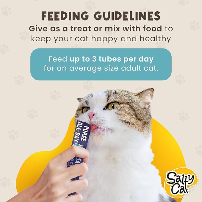 Salty Cat Creamy Purée Salmon Cat Treat – Lickable with Real Salmon, Squeeze Treats with No Preservatives, 14g Tube That Support Healthy Skin & Coat