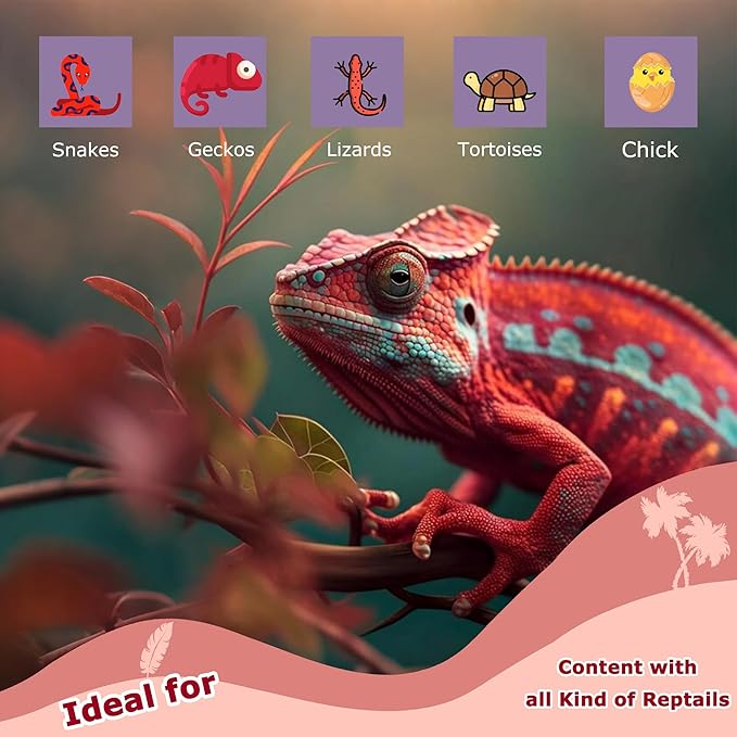 60W Red Infrared Heat Lamp Bulb for Reptiles – Basking Spot Light for Lizards, Bearded Dragons, Snakes & Chicks, Ideal E26 Heater for Terrariums, Chicken Coops & Brooders | 2 Pack