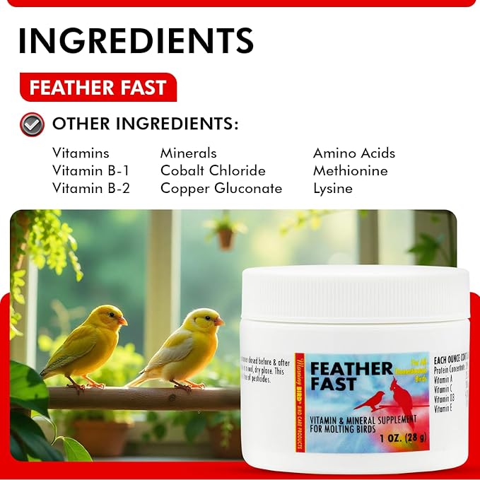 Morning Bird Feather Fast 1 Oz – Multi-Vitamin During Molt - Molting Support Supplement for Birds – Amino Acid & Vitamin Powder Formula– Promotes Feather Growth, and Full Plumage – for All Adult Birds