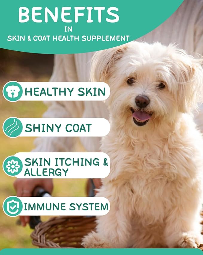 Omega 3 for Dogs - Dog Skin and Coat Supplement with EPA & DHA Fatty Acids- Fish Oil Chews with Salmon Oil & Vitamins - Itchy, Dry & Shedding Skin Relief- Chicken Flavor, 120 Chews