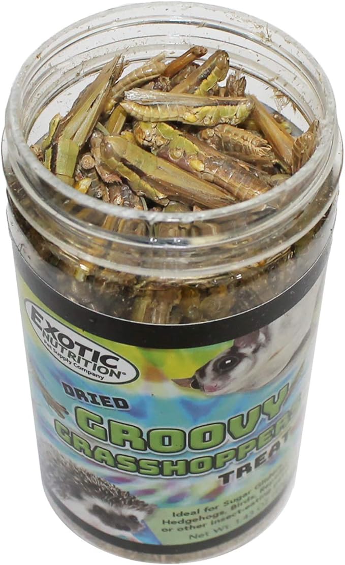 Groovy Grasshoppers (2 PACK)- All Natural Healthy High Protein Insect Treat - Chickens, Birds, Hedgehogs, Bluebirds, Reptiles, Sugar Gliders, Opossums, Skunks, Lizards, Turtles, Amphibians (2.8 oz.)