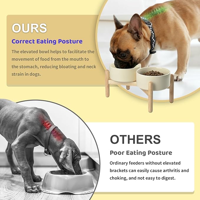 SPUNKYJUNKY Ceramics Elevated Dog Bowls with Wooden Stand - Raised Double 60OZ Cream White Bowls for Medium Large Dogs